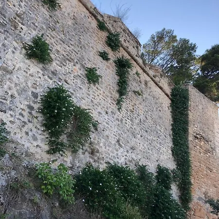 Flores * Dénia